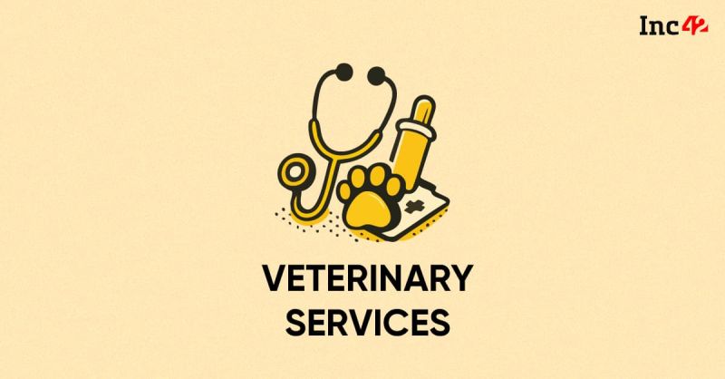 Veterinary Services Https Southportveterinaryservices Com - Geometric Backgrounds - Artistic Desktop Collection