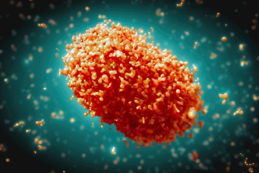 Mpox virus 원인, 증상, 예방 및 치료 방법