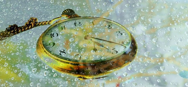 Pocket watch
