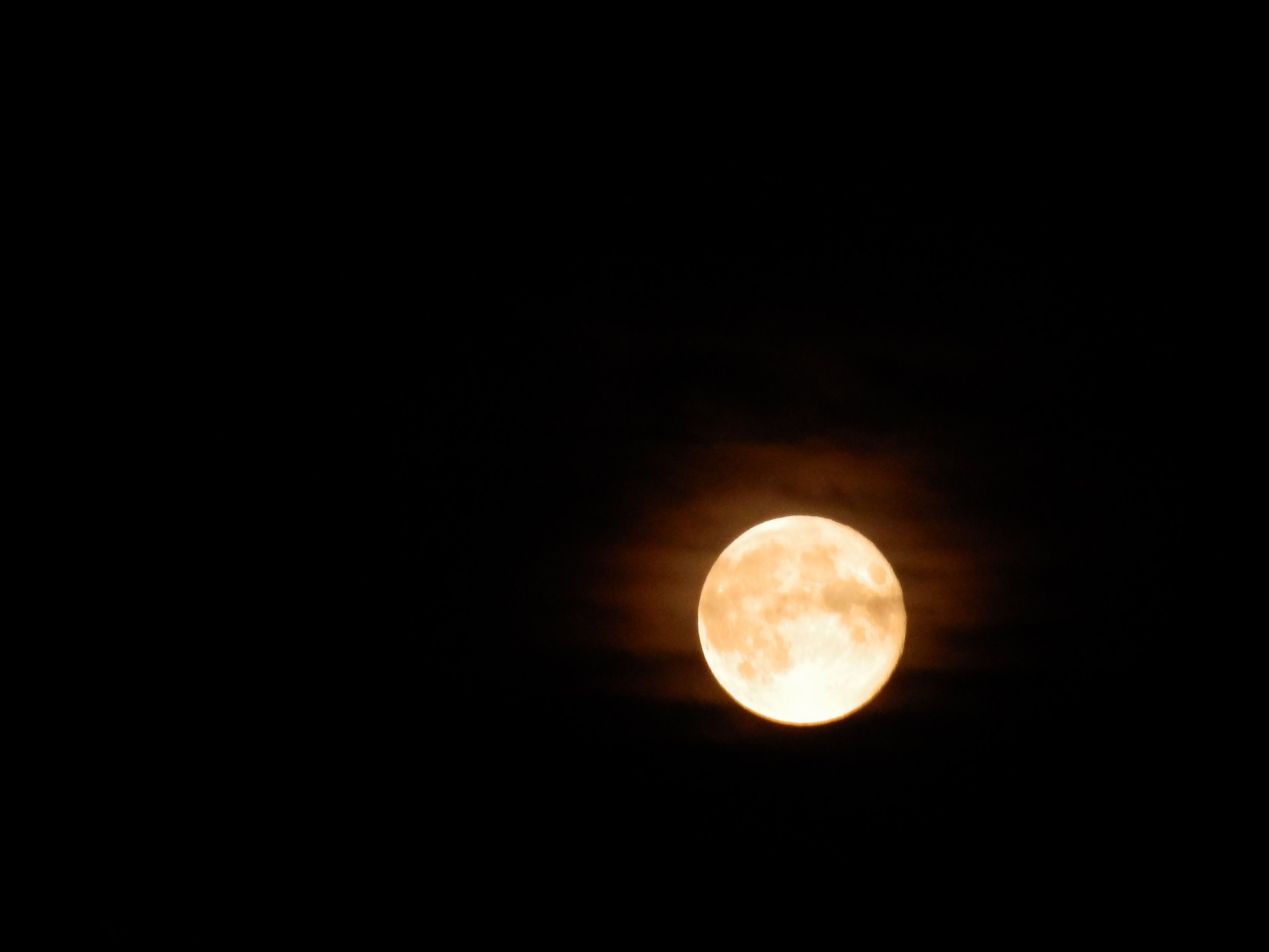 MOON