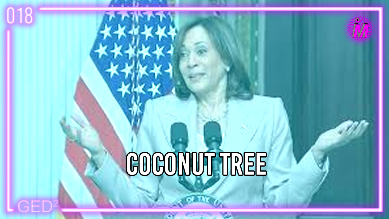 018 – Coconut Tree episode artwork