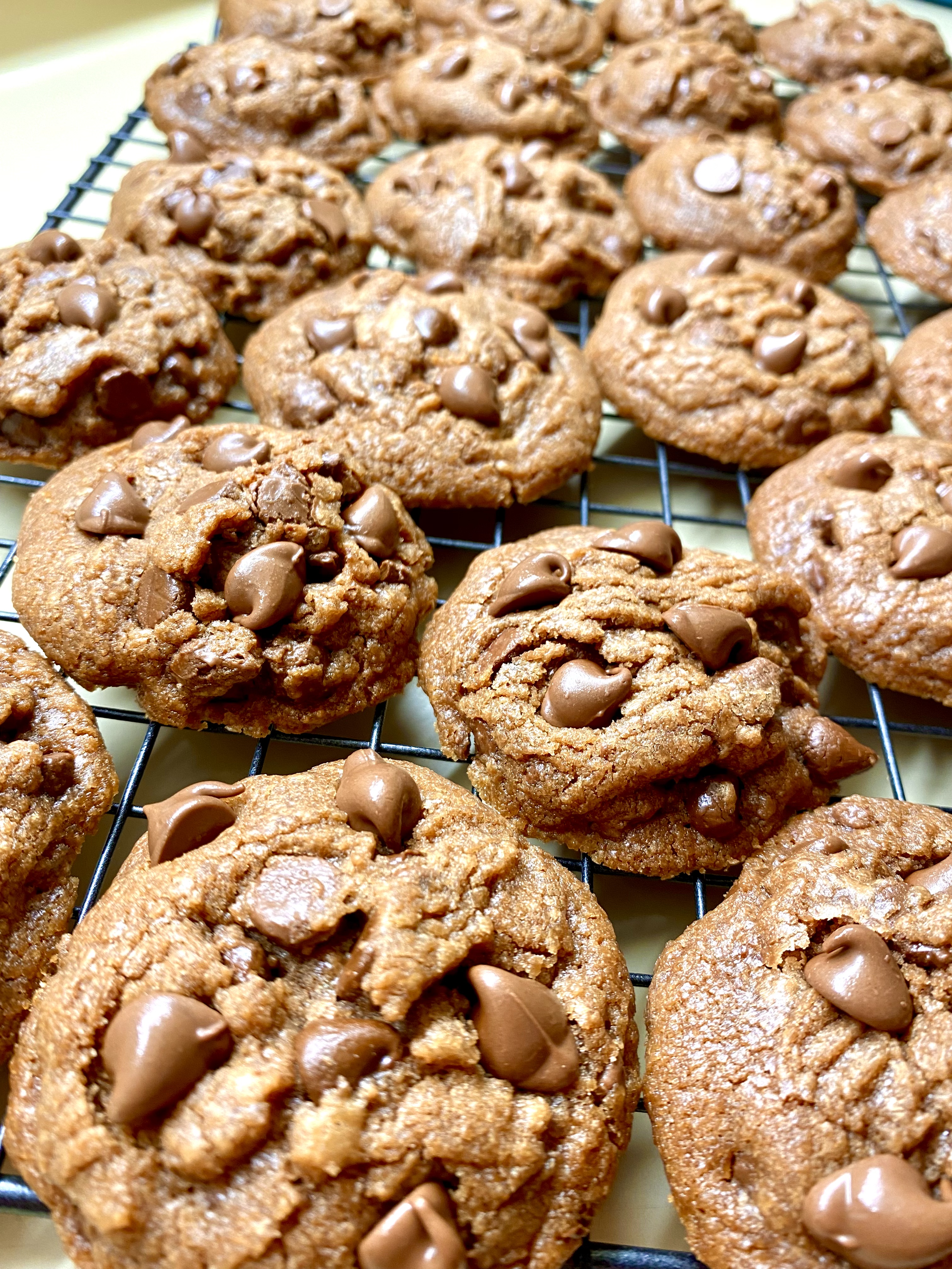 Double Chocolate Chip