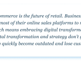Digital Transformation In E Commerce How To Get Started Indata Labs