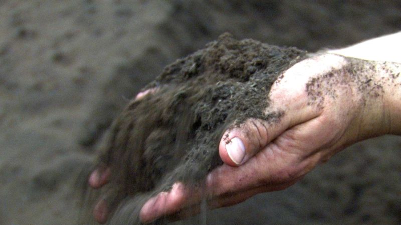 Compost - Mobile Gradient Illustrations for Desktop