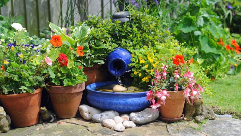 Sensory Garden: Garden Trends 2024