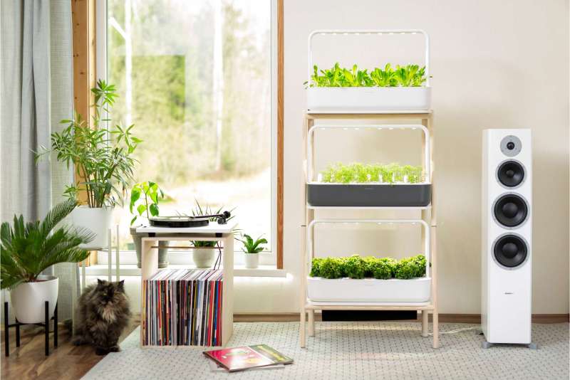 Smart Gardening Devices: Garden Trends 2024