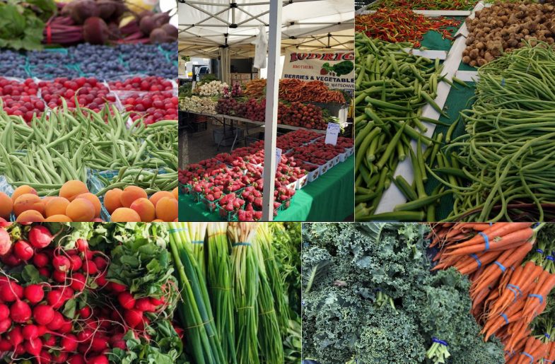 Newark Farmer's Market Haul (Image by Mona Shah)