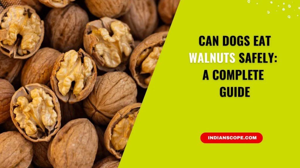 Can Dogs Eat Walnuts Safely? Risks, Benefits, and Alternatives for Your Pet 1 Can Dogs Eat Walnuts Safely