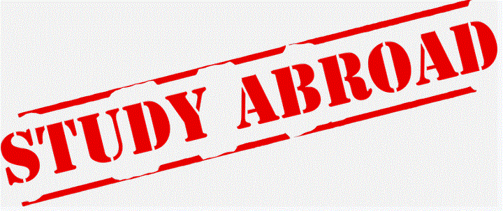 Read more about the article The downsides of studying abroad