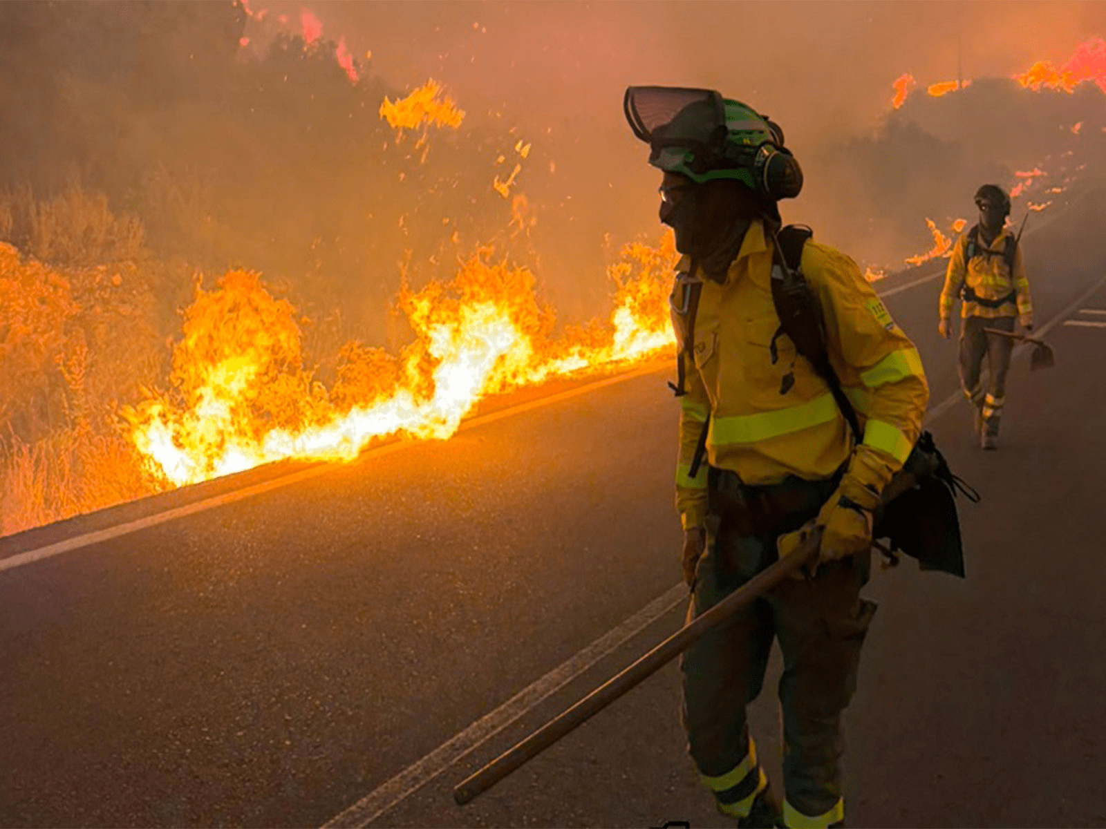 Wildfire