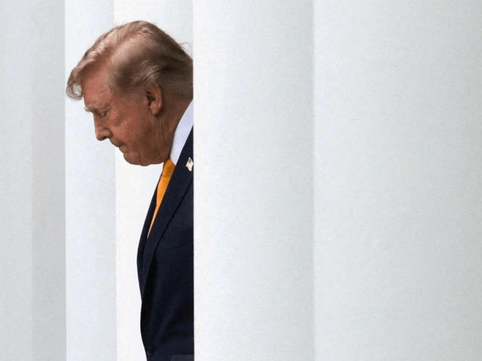 D Trump