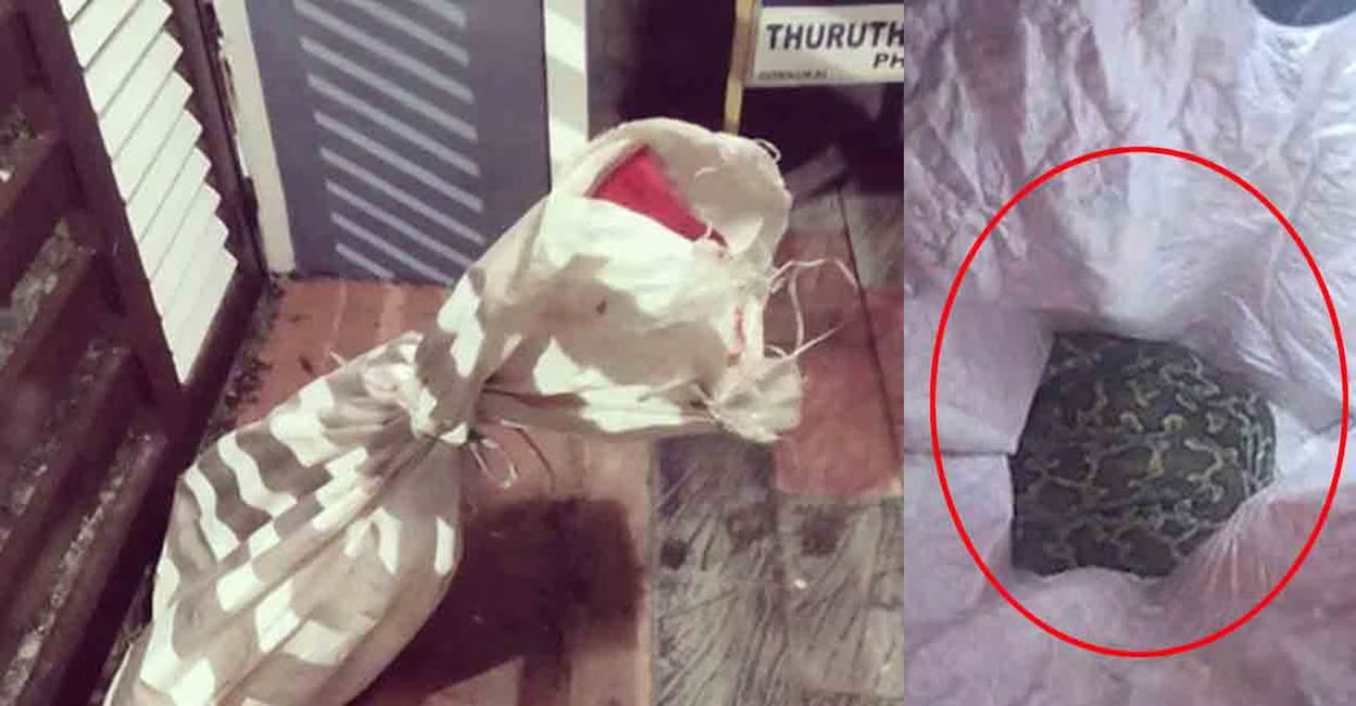 Pathanamthitta Chennirkkara Panchayat Sixth Ward Member Bindu T Chacko