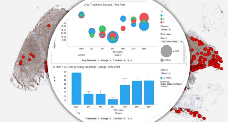 Indica Labs Pharma Services Video Design Analysis Designrush - Premium Sunset Texture Gallery - HD