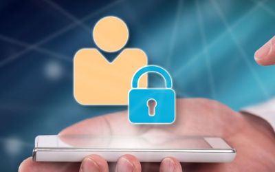 How SSI Eliminates Friction, Adds Control for Travelers