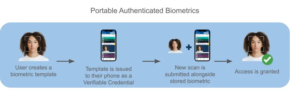 Bimetrics workflow (2)