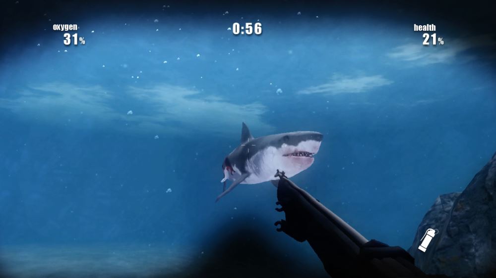 Shark Attack 
アンティークチェア Video accidentally captures deadly 'shark attack' on Mexico vacation