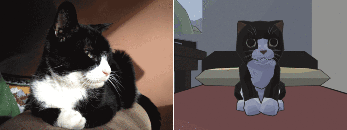 cat