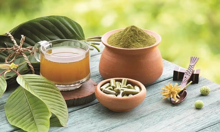 What is Green Malay Kratom? Effects, Benefits & Uses – IndiePulse Music  Magazine