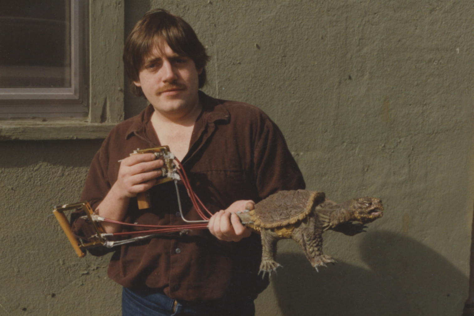 Snapper: The Man-Eating Turtle Movie That Never Got Made – INDIE SHORT FEST