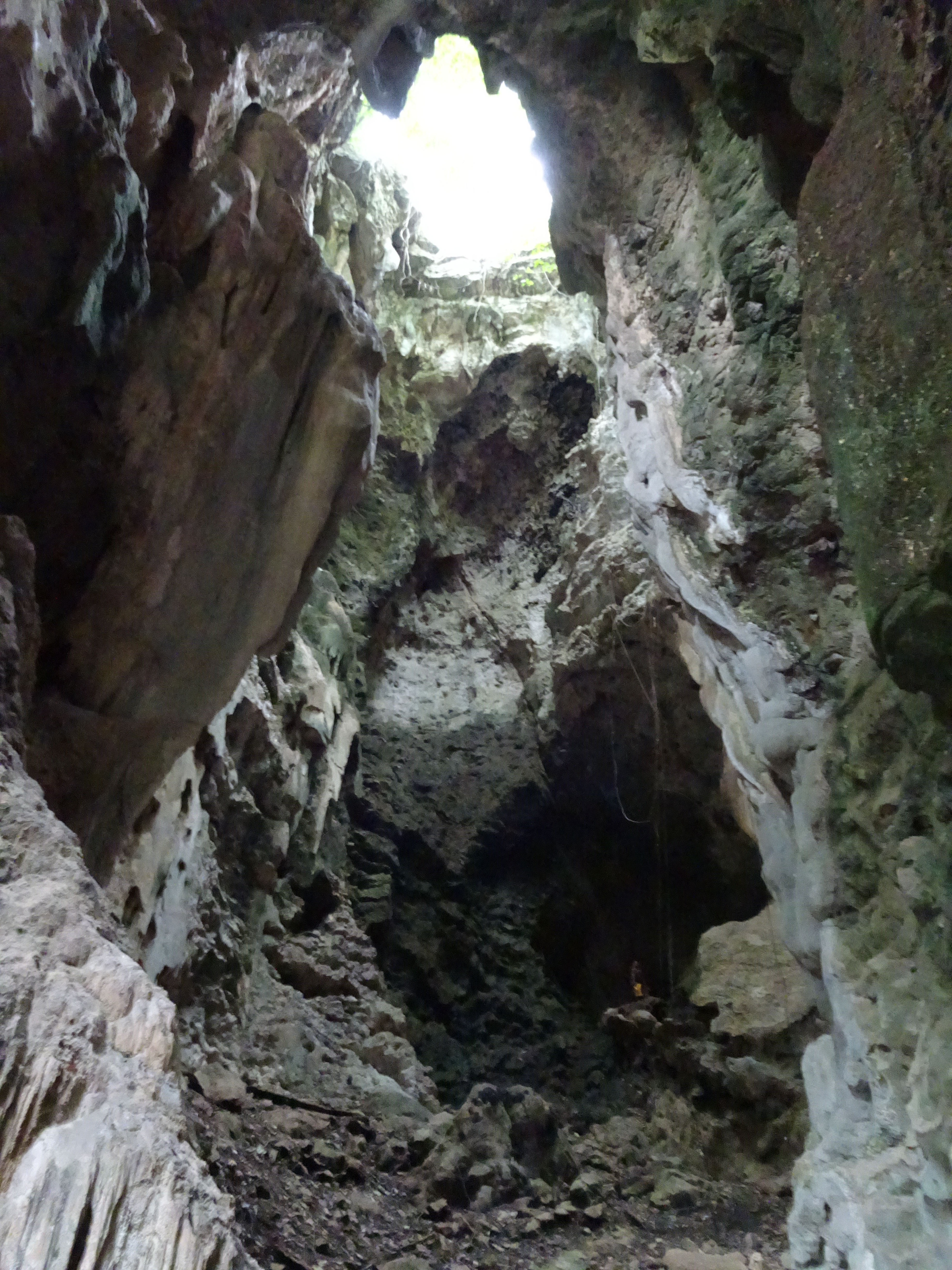 This is the view looking up from the bottom of the cave