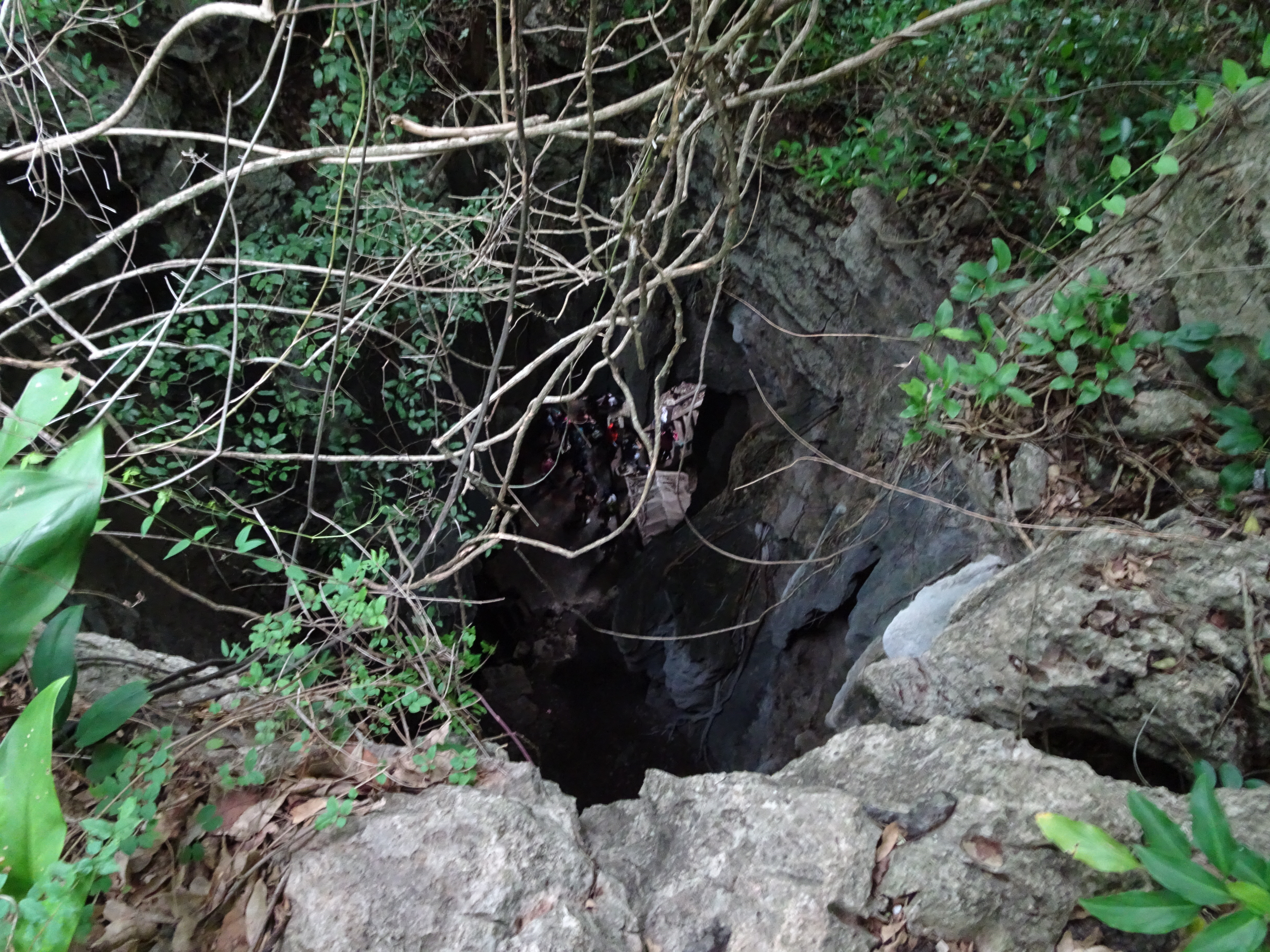 This is the hole where the Khmer Rouge threw people after whacking them on the head with a blunt object. They would often be alive but parish upon impact with the bottom of the cave.