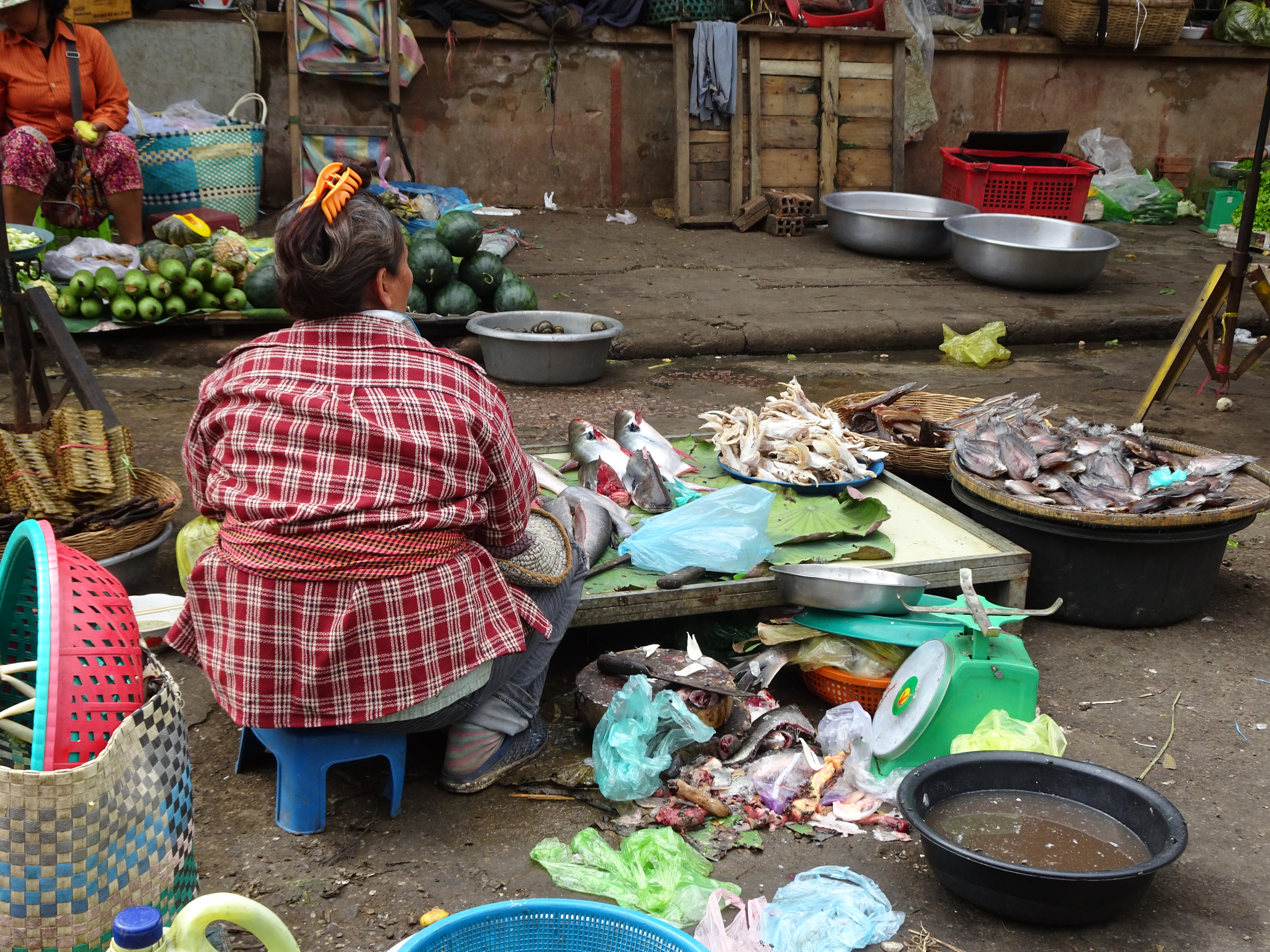 Fish monger Battambang