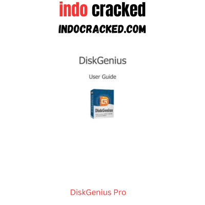 DiskGenius Pro