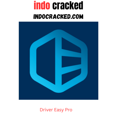 Driver Easy Pro