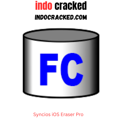 FastCopy Pro