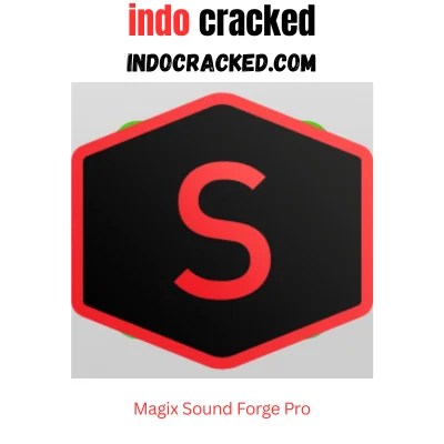 Magix Sound Forge Pro