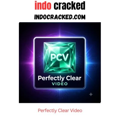 Perfectly Clear Video Full Version Download