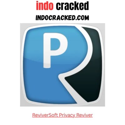 ReviverSoft Privacy Reviver