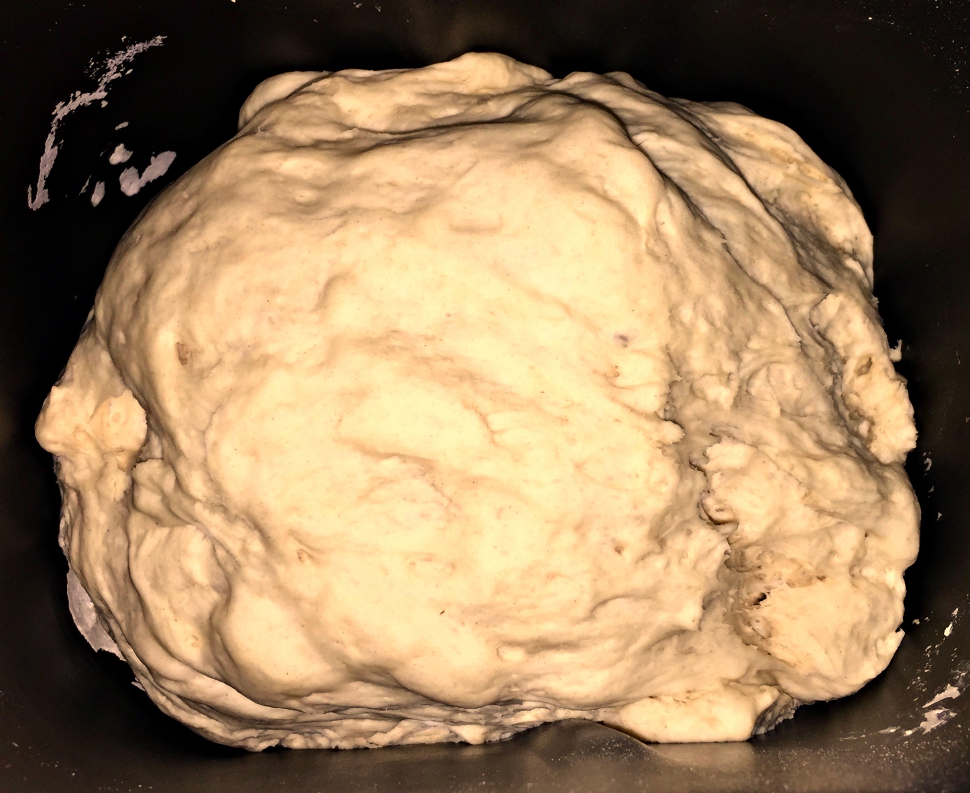 Finished, risen dough in bread machine.