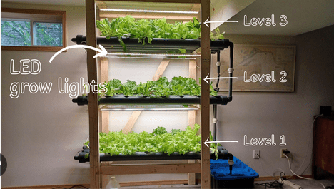 Hydroponics Setup with LED Grow Lights