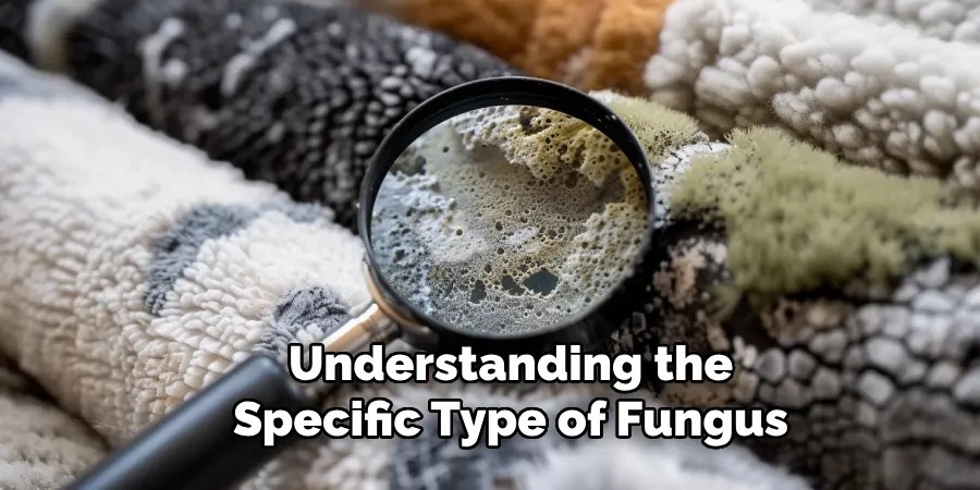 Understanding the
Specific Type of Fungus