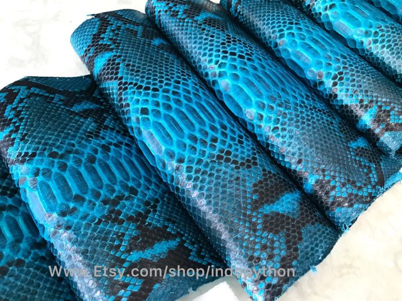 Blue Turquoise Python Leather Indopython - Full HD Mountain Photos for Desktop