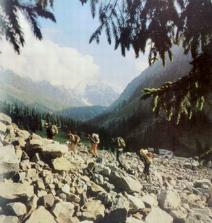 Горы и лес непредсказуемы, здесь нужно быть готовым к самым . Indra Tour Peshie Tury V Okrestnostyah Almaty Odnodnevnye I Mnogodnevnye Pohody Tury Po Kazahstanu