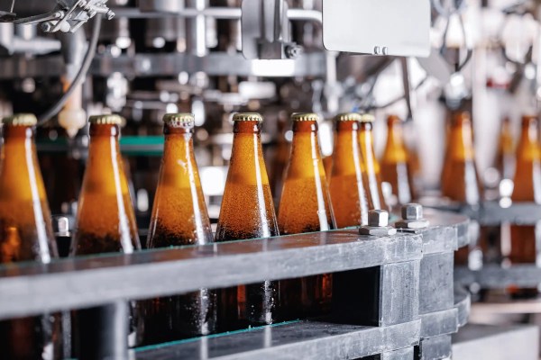 Botellas de cerveza en una línea de fabricación.