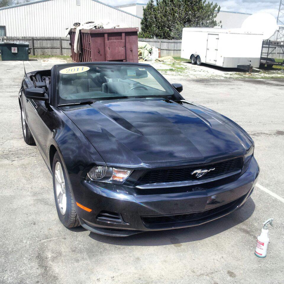 Mustang Wrap: Before