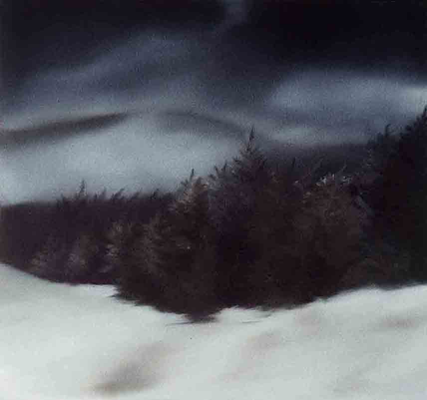 untiteld oil on mdf 34 * 36 - 2001