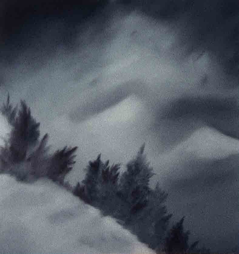 untiteld oil on mdf 34 * 36 - 2001