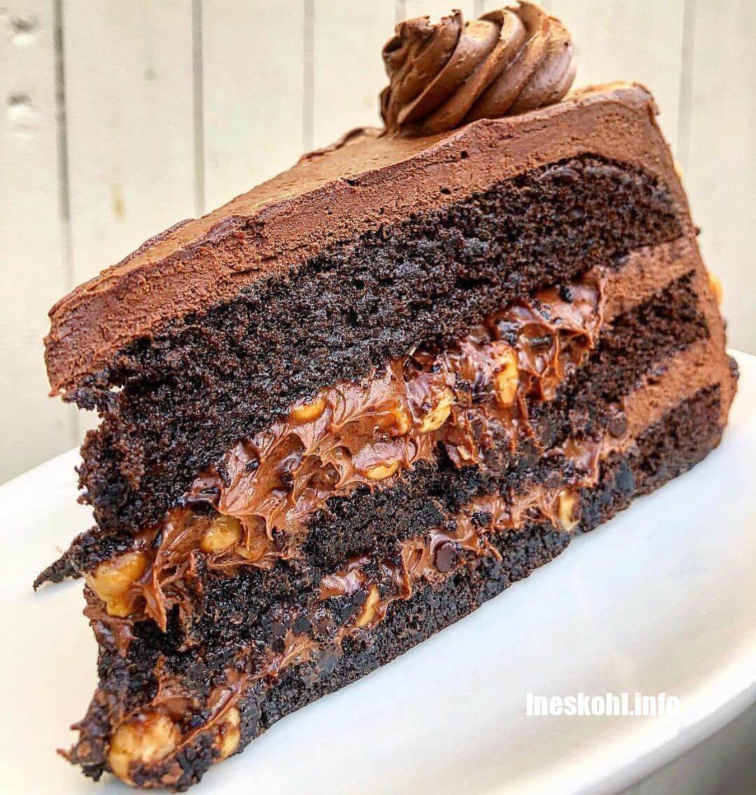 Turtle Cake Recipe