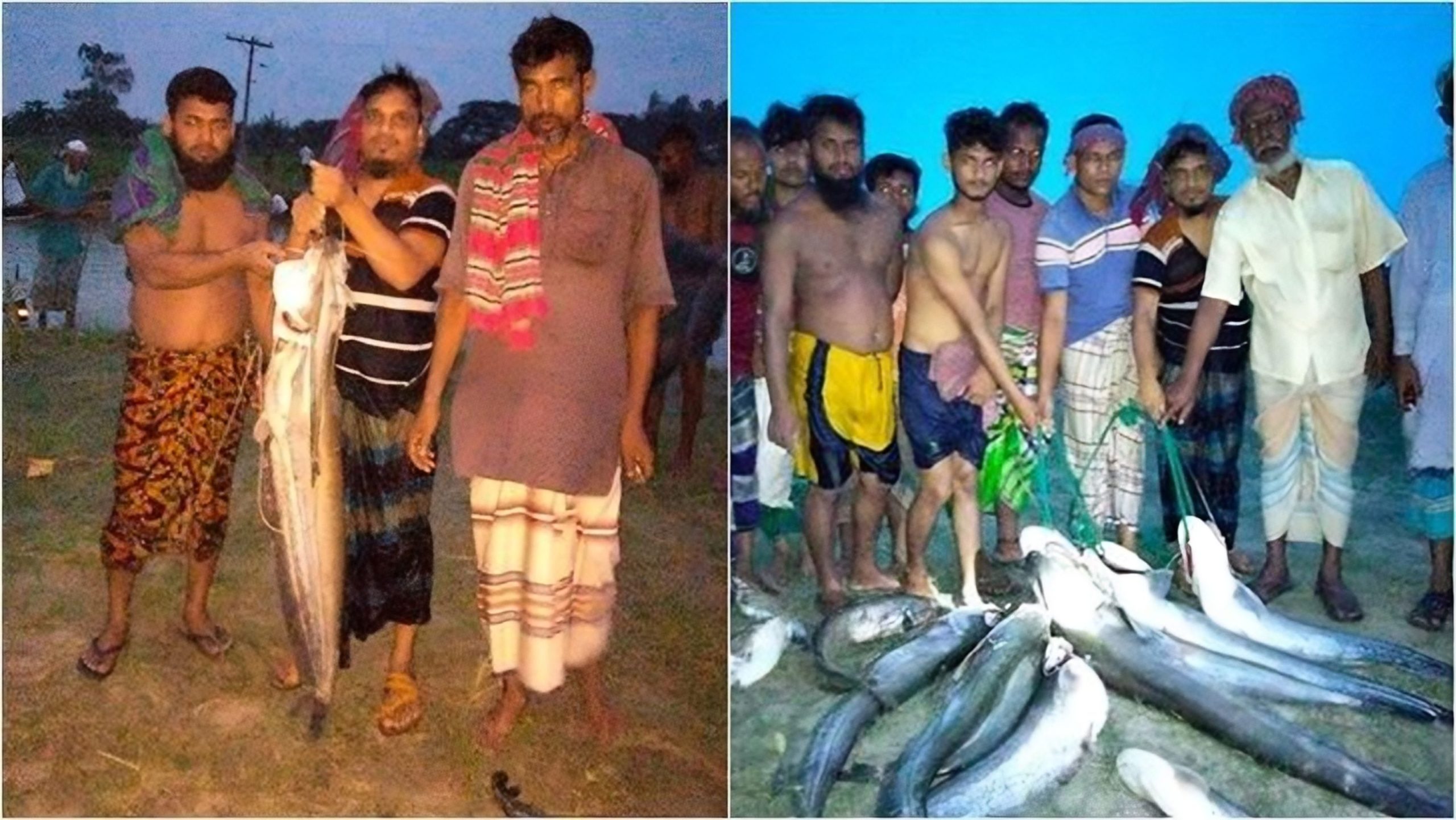 বোয়াল