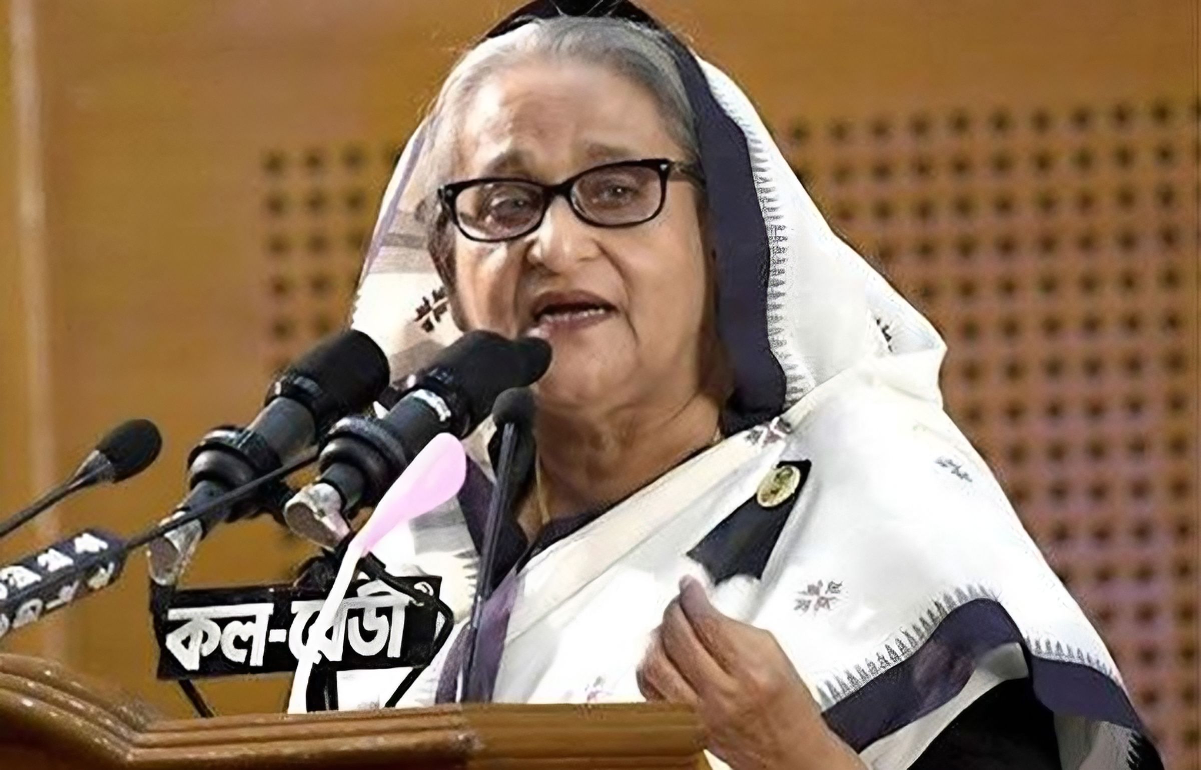 আমাদের মানবাধিকার কোথায়? প্রশ্ন শেখ হাসিনার