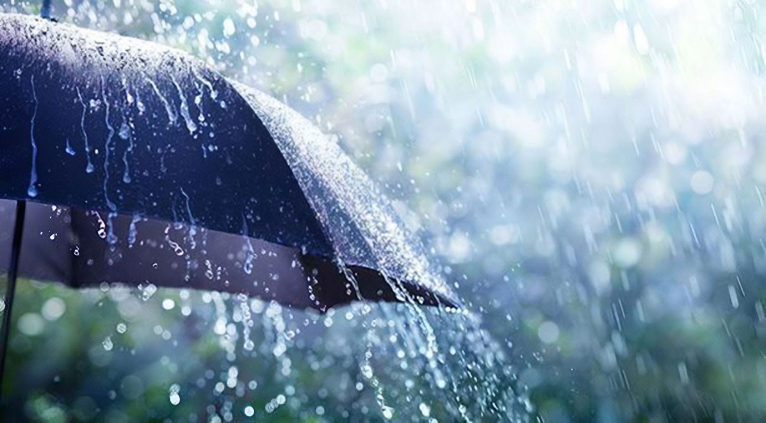 দেশের সব বিভাগেই বৃষ্টির পূর্বাভাস