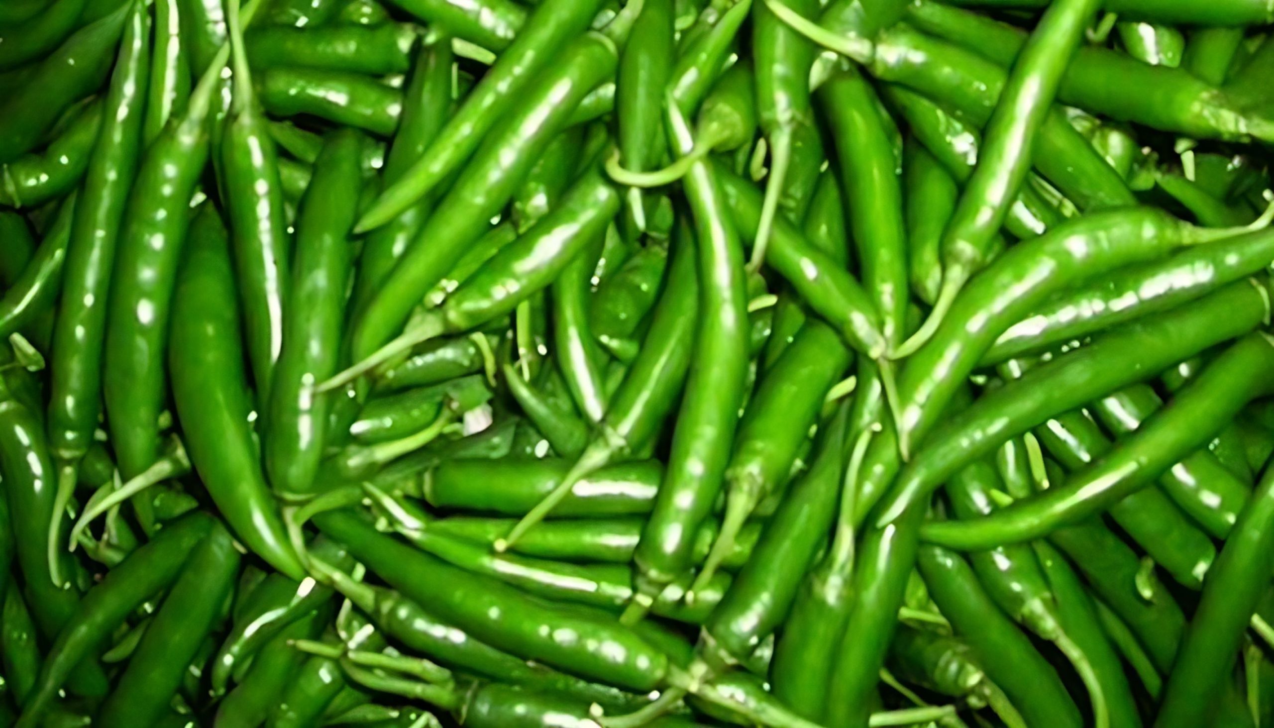কাঁচামরিচ
