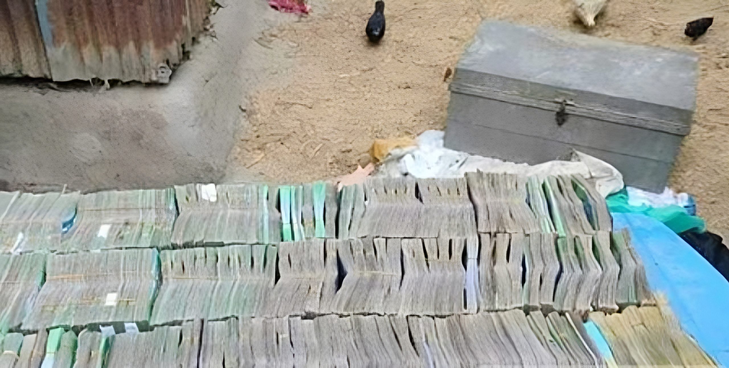 ট্রাঙ্ক থেকে ডলারসহ কোটি টাকা উদ্ধার, আটক ১