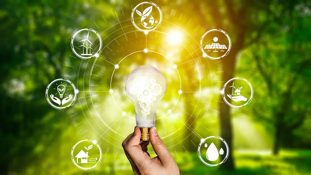 নতুন বছরে Renewable Energy সেক্টরে চাকুরি পেতে যেসব স্কিল প্রয়োজন