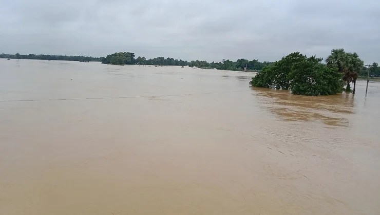 গোমতীর পানি