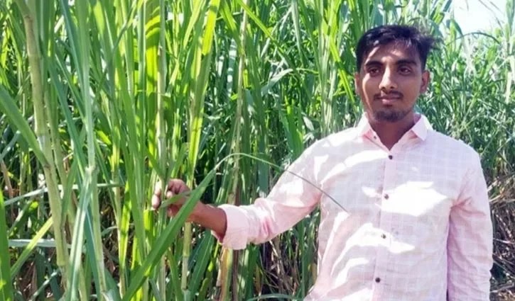 Rubel